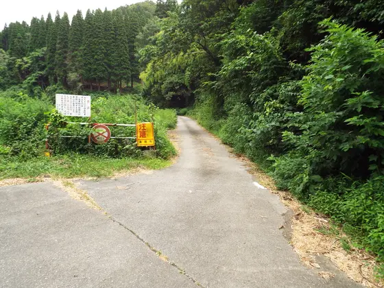 分岐