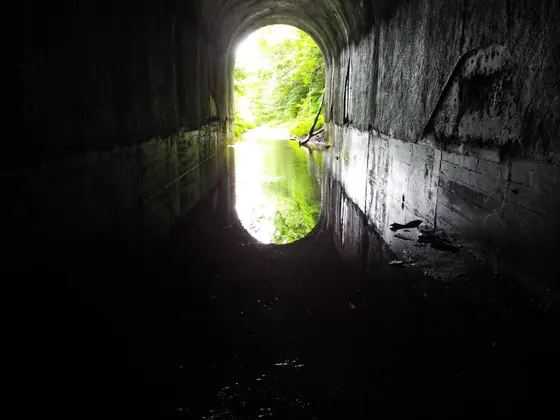 水溜