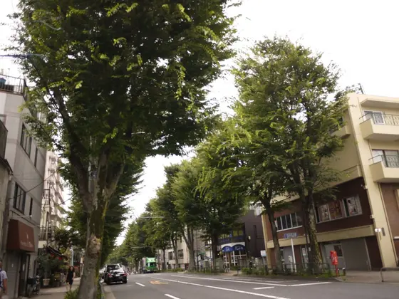 この通りがアツい！