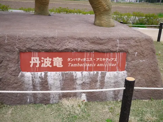 丹波竜の紹介