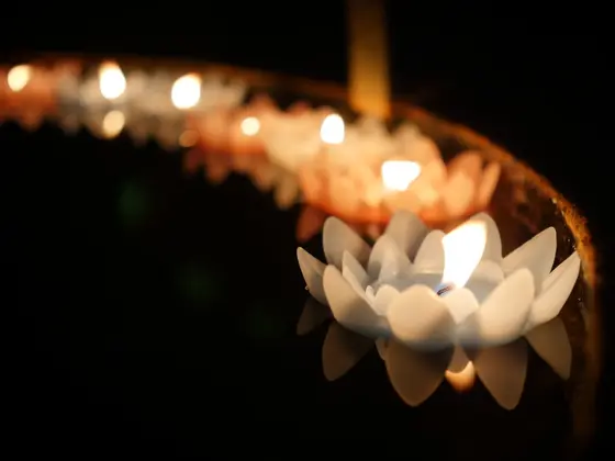 カメラ女子にもオススメ♪