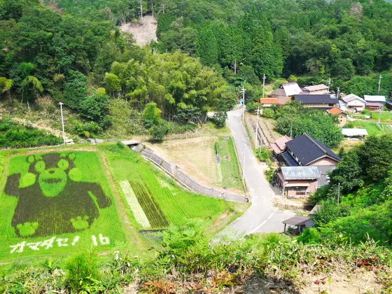高台からの田んぼアート