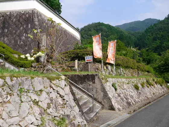 こちらも上から見れます。