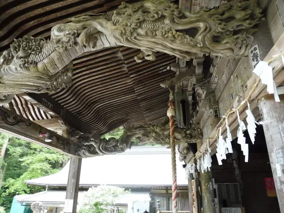 見事…！向拝の龍