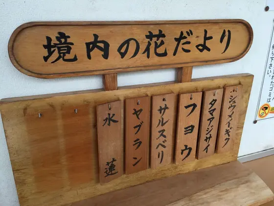 緑と花に溢れる長谷寺。