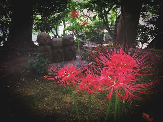花と癒しの地蔵達にぜひ会いに行ってみてくださいね☺️