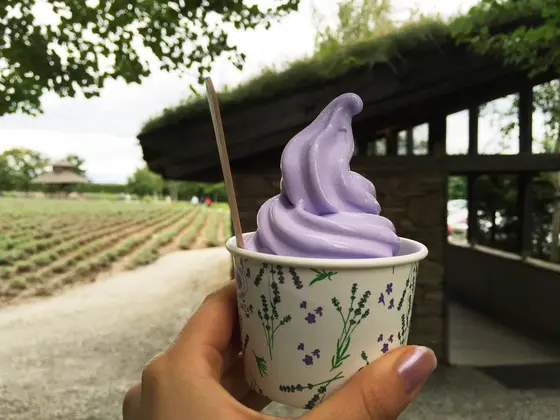 ラベンダーソフト🍦