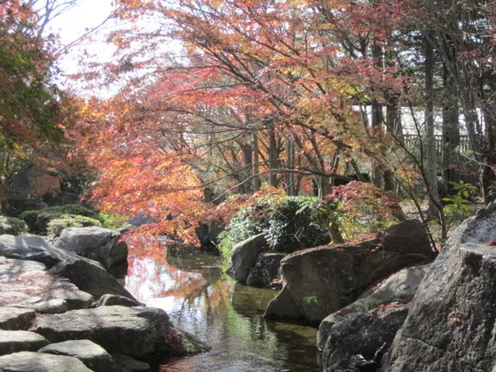 霞ヶ浦総合公園