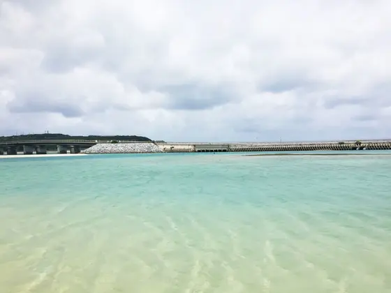 ビーチ