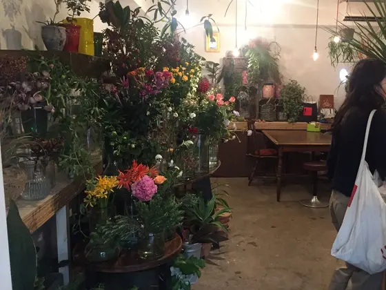 普通の花屋に並ばない珍しいお花