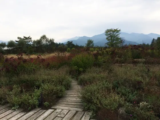 世界一のガーデン