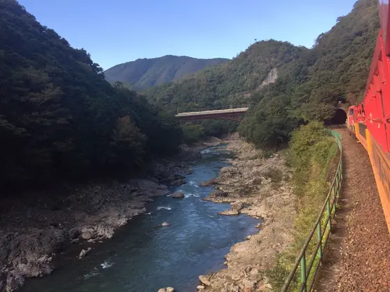 この景色！