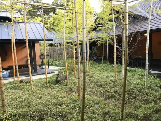 中庭