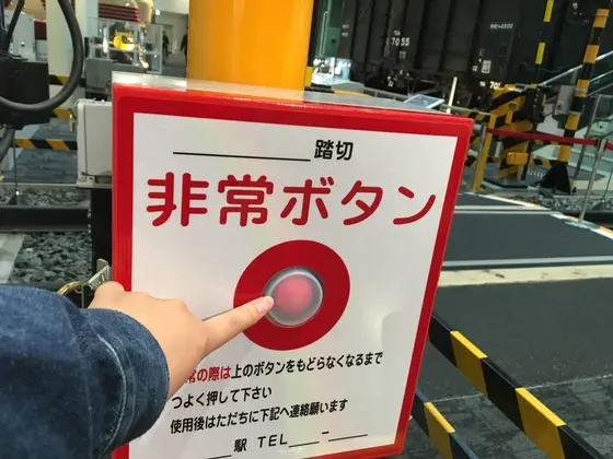 え、押していいんですか？！！