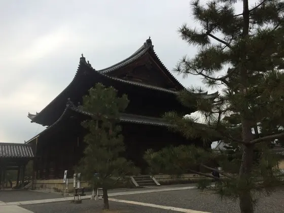 雲龍図拝見。