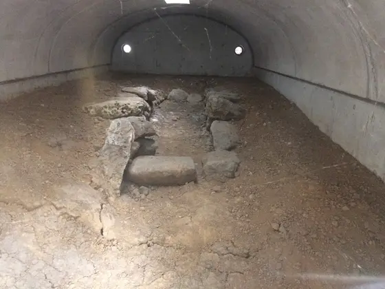 ガラス越しに見ることができます