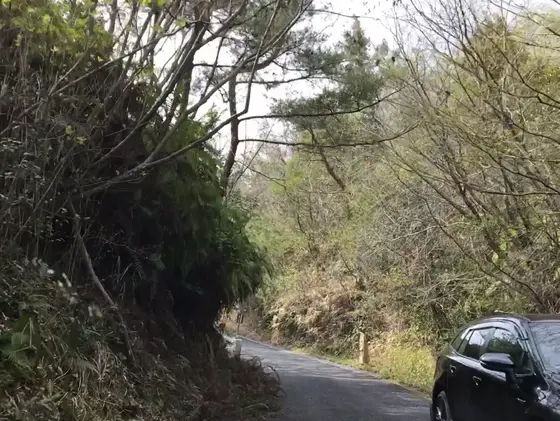 道中