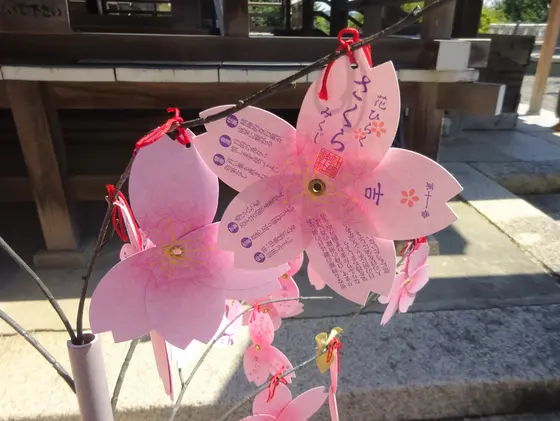 花ひらくさくらみくじ