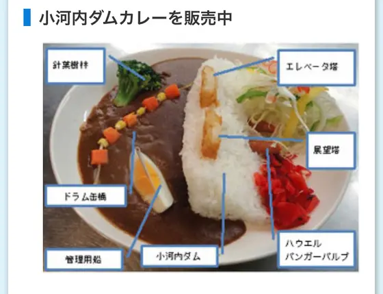 公式サイトにあったダムカレー