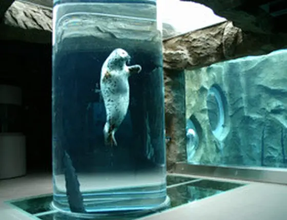 112種類622匹の動物！