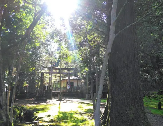 若宮白山神社