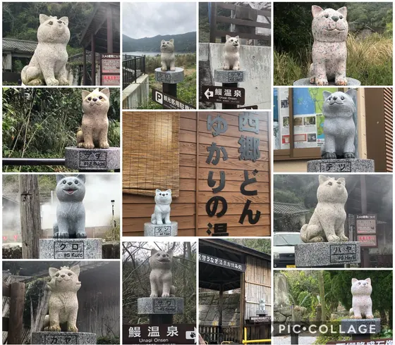 13匹のﾜﾝｺ達