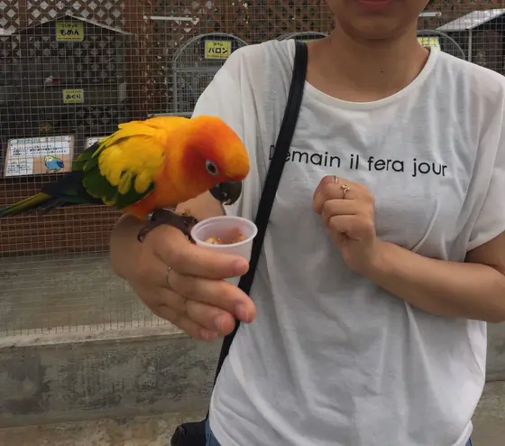 餌やりも出来ます😊