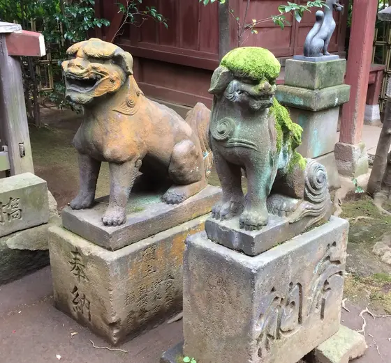 ◎苔に覆われた狛犬◎