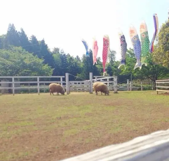 のどかな風景