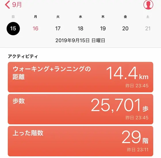 スポット内のおすすめ