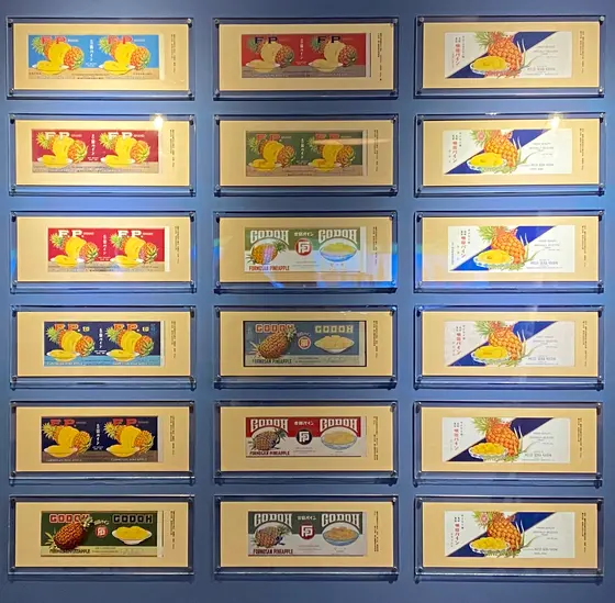 展示品