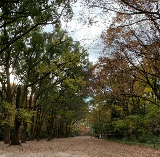 馬場