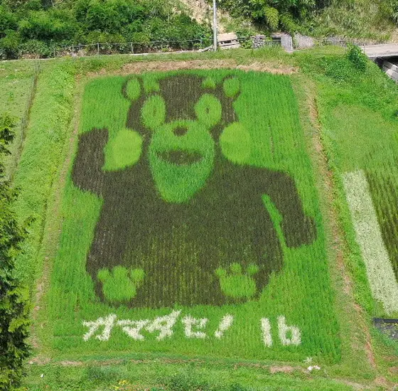 ガマダセ熊本！