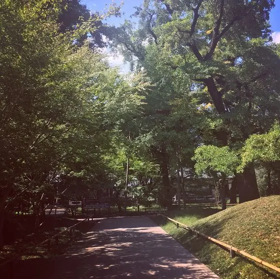 境内の様子(夏)