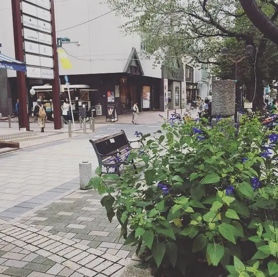 憩いのスポット☺️