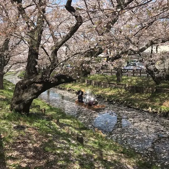 スポット内のおすすめ