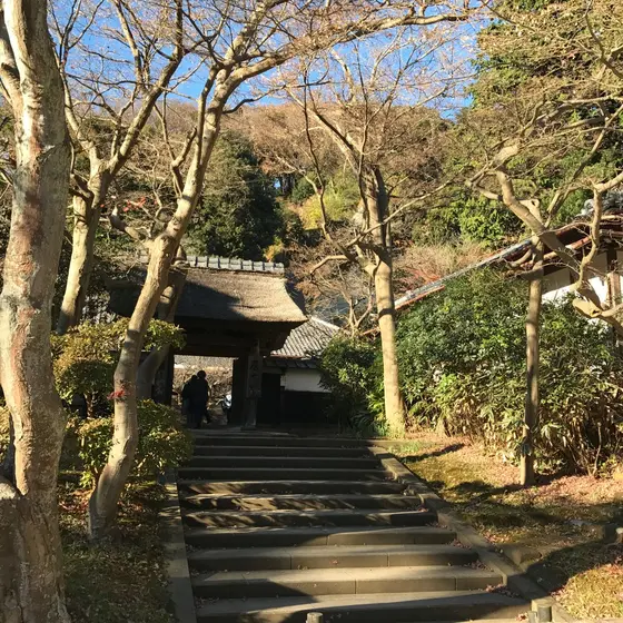 座禅会はこちら