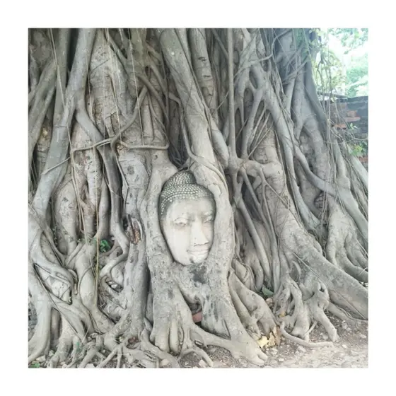 タイで世界遺産を見よう！！
