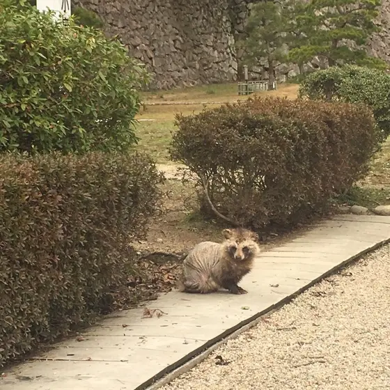 発見！
