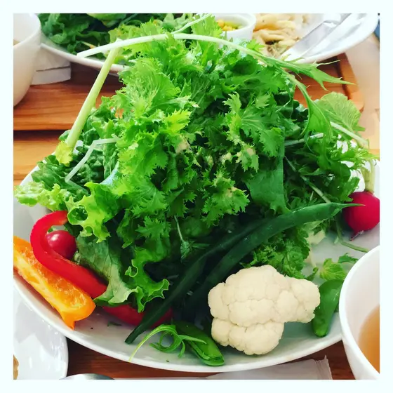 スポット内のおすすめ