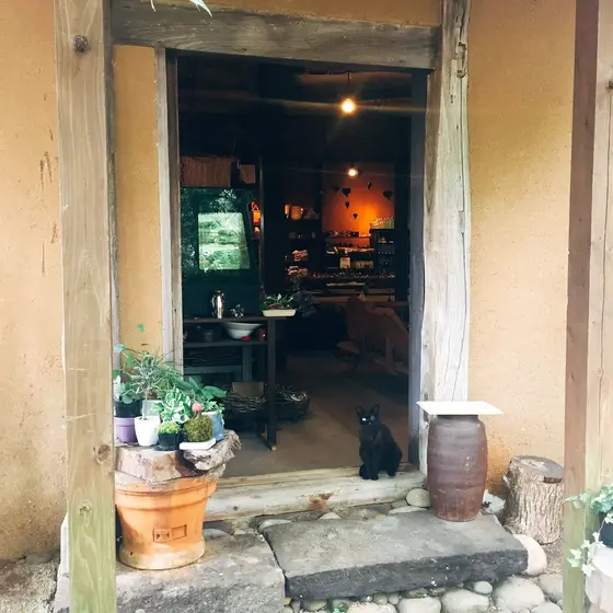 黒猫ちゃんがお出迎え😸