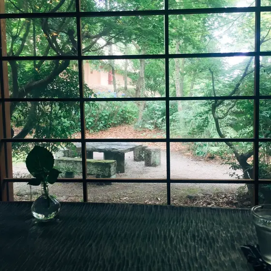 特等席からの眺め。