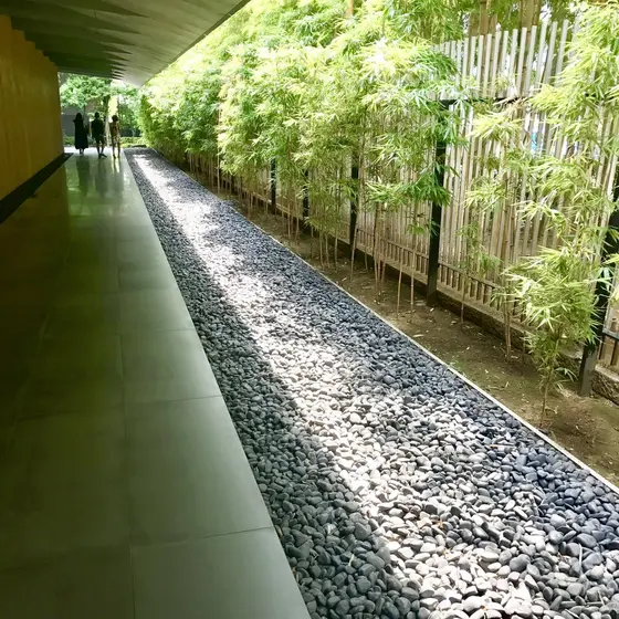 🌱.館内に入るとまず目に入るのが…