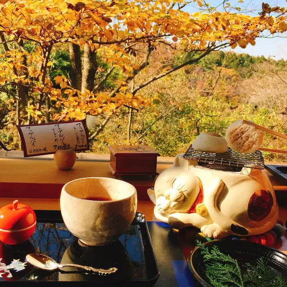 窓一面は紅葉