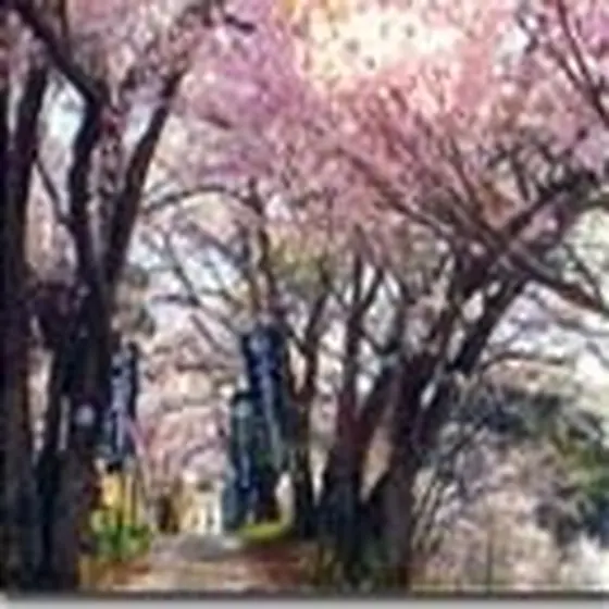 谷戸城跡(やといせき)