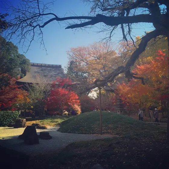 境内の様子(秋)