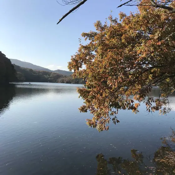 湖の周りには遊歩道があります