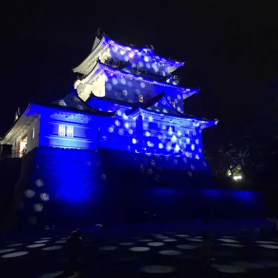 テーマごとにイルミネーションも変わります