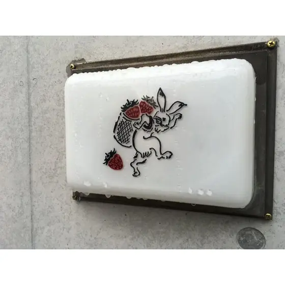 かわいいうさちゃんがお出迎え🐇