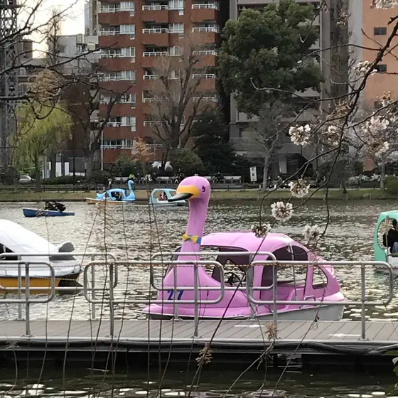 スポット内のおすすめ